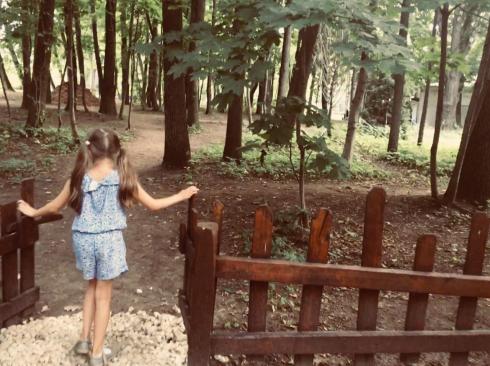 FORESTd72086d-f1da-4e8d-ab2e-96893dc6b644